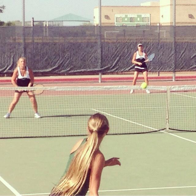 4/11/17 - Basha v. Highland